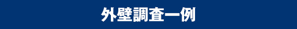 外壁調査一例